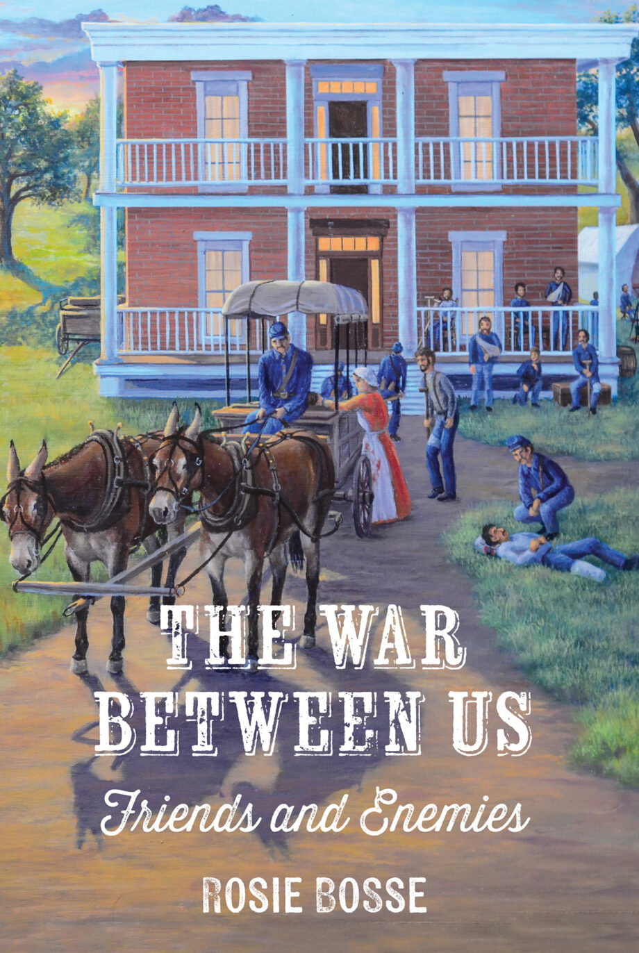 The War Between Us, Friends and Enemies (Soft Cover) #1 Uncivil War Series